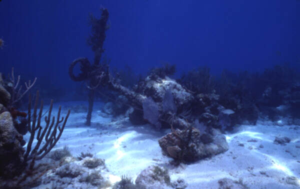 photo of old anchor on seabed
