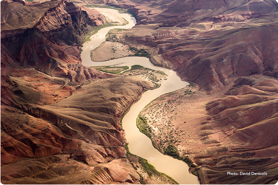 Blog Dropping Water Levels In Colorado River Basin Raise Prospect Of First Ever Federal Water