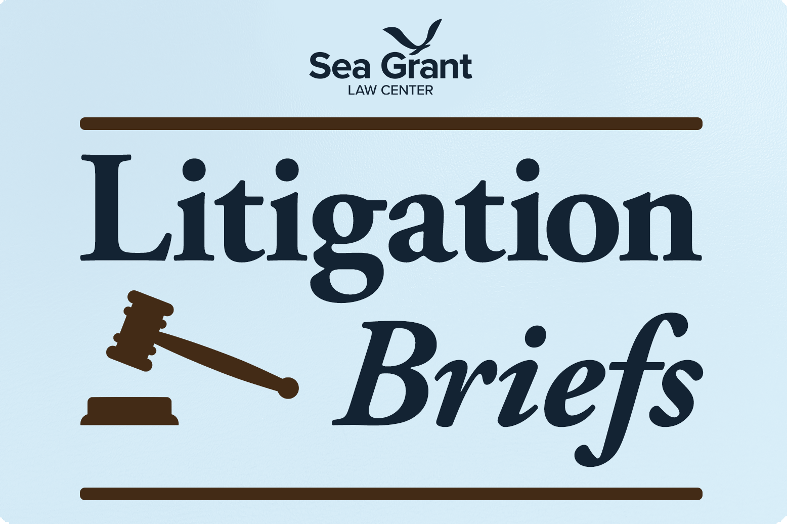 NSGLC Litigation Briefs