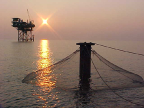 Aquaculture
