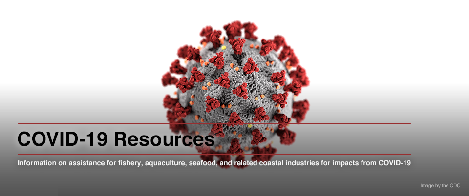 COVID-19 Resources