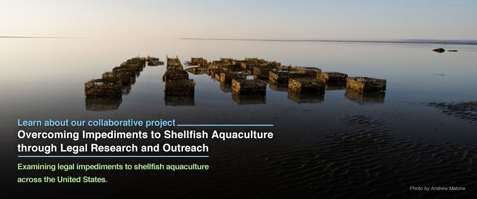 Shellfish Aquaculture Project