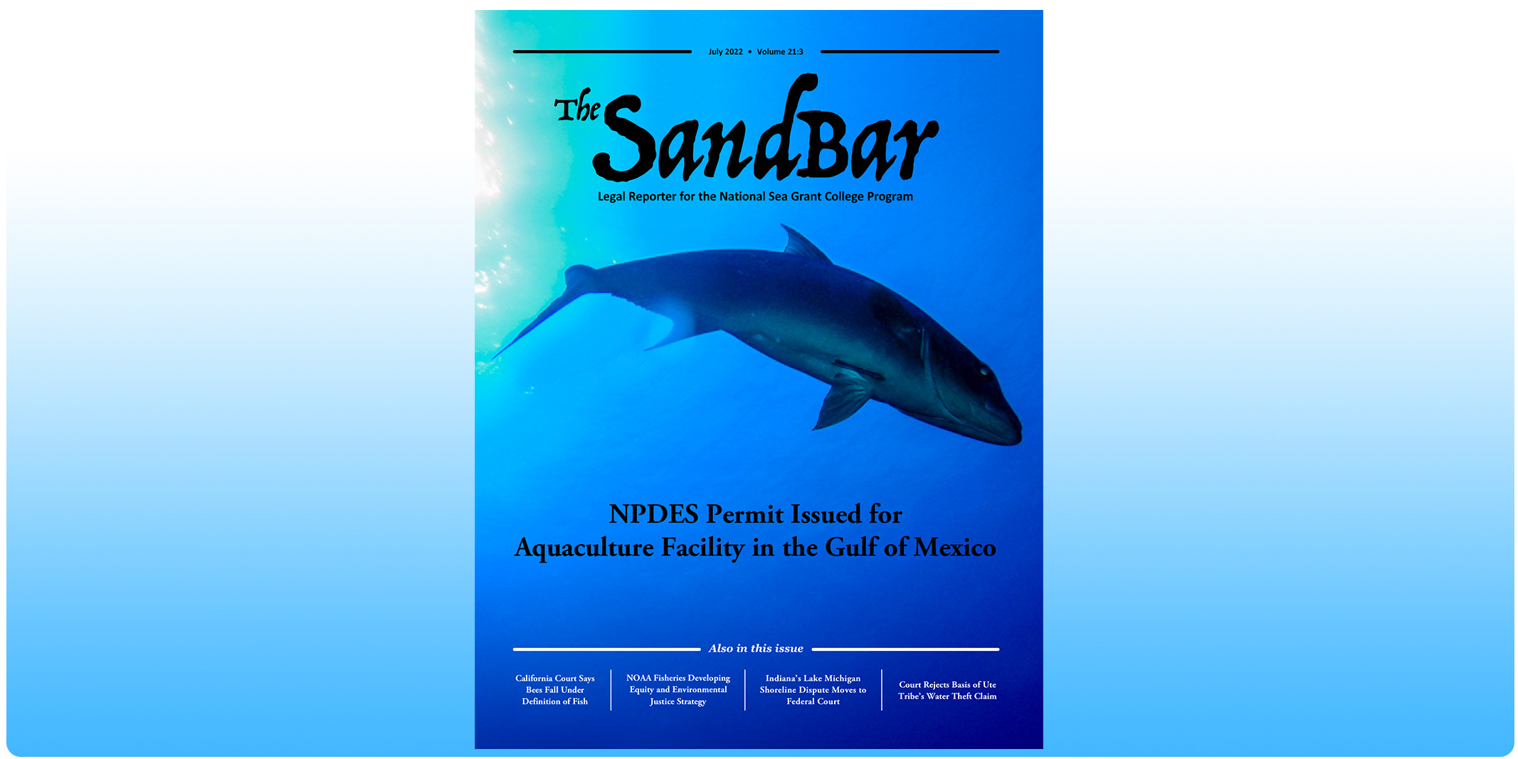 The SandBar - July 2022
