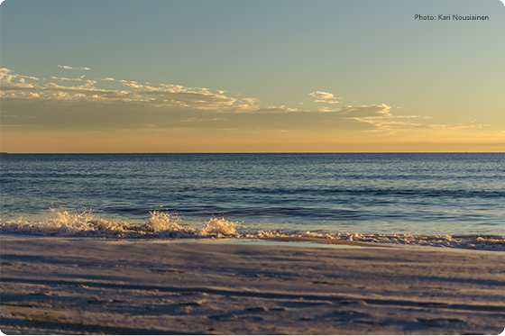 Photo of Florida coast by Kari Nousiainen