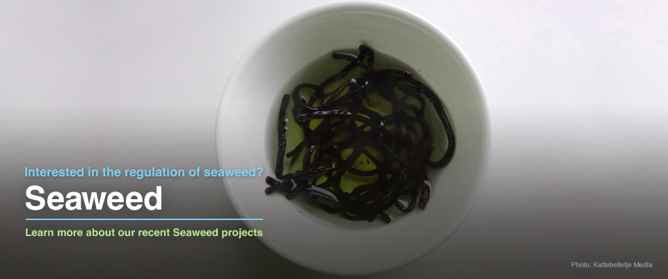 Seaweed