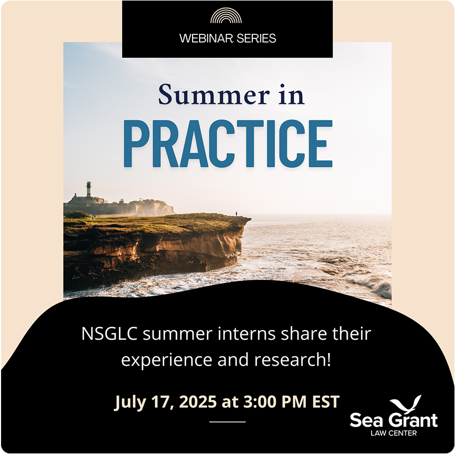 Summer in Practice: NSGLC Law Associates Share Their Internship Experience and Research